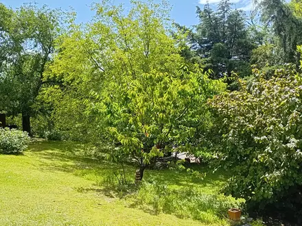 Alquiler temporario de casa en Villa giardino