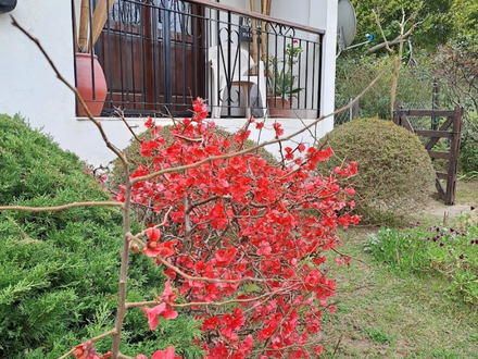 Alquiler temporario de apartamento em Pinamar