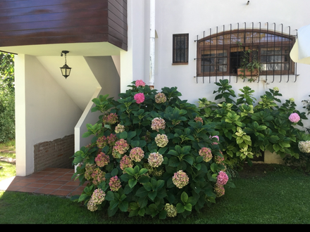 Alquiler temporario de apartamento em Pinamar
