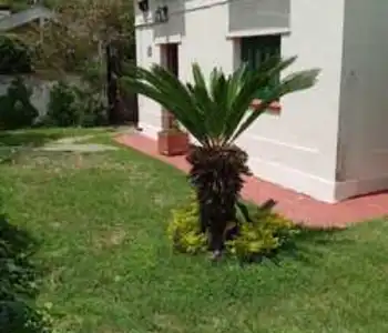 Alquiler temporario de casa en San clemente del tuyu