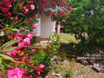 Alquiler temporario de casa em Mar de ajo