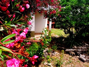 Alquiler temporario de casa en Mar de ajo