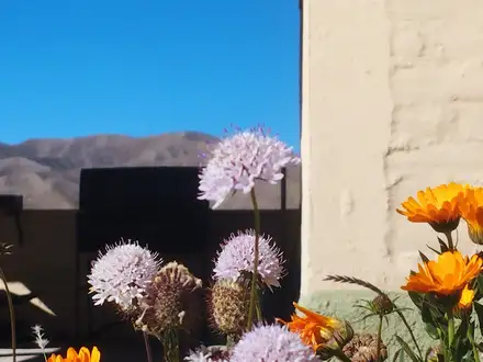 Alquiler temporario de cabana em Las vegas