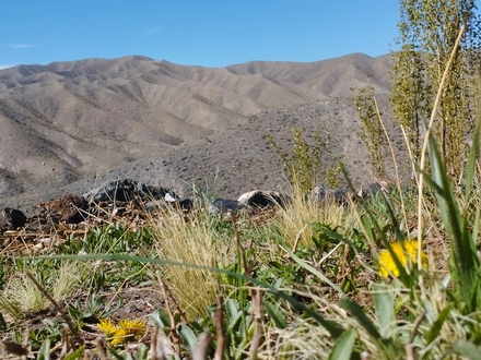 Alquiler temporario de caba&ntilde;a en Las vegas