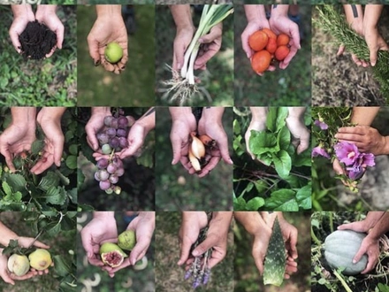 Alquiler temporario de caba&ntilde;a en Carpinter&iacute;a