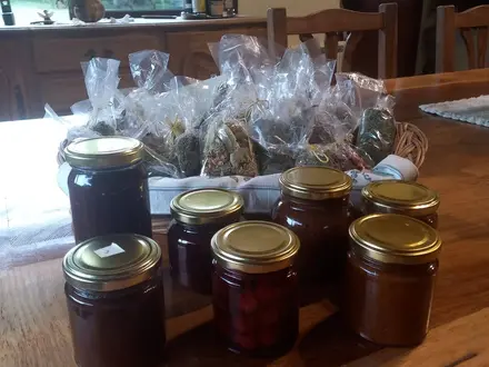 Alquiler temporario de caba&ntilde;a en Carpinter&iacute;a