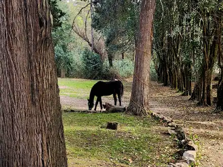 Alquiler temporario de hotel en Tanti