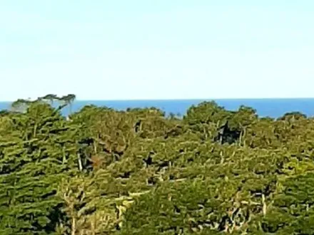 Alquiler temporario de departamento en Pinamar