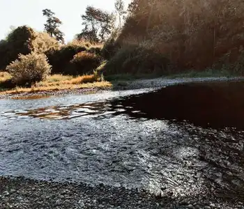 Arriendo temporario de caba&ntilde;a en Puerto montt