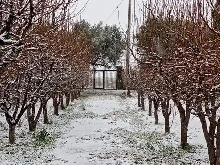 Alquiler temporario de caba&ntilde;a en San rafael