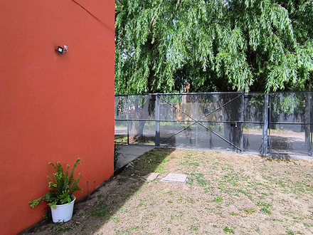 Alquiler temporario de casa en San clemente del tuyu