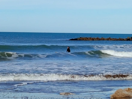 Alquiler temporario de casa en Mar del plata