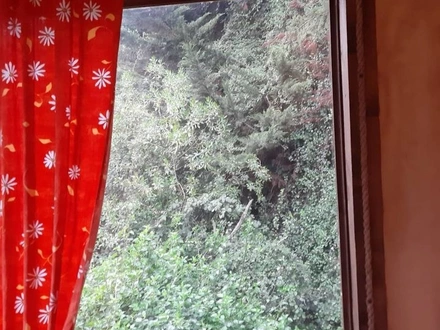 Arriendo temporario de cabana em Isla negra