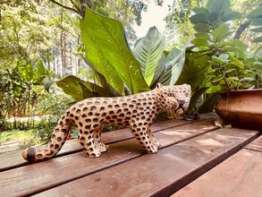 Alquiler temporario de casa em Puerto iguazu