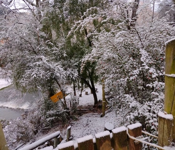 Alquiler temporario de cabana em San martin de los andes