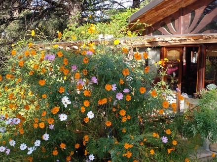 Alquiler temporario de caba&ntilde;a en Villa carlos paz