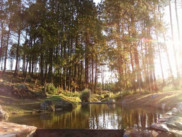 Alquiler temporario de cabana em La estancia