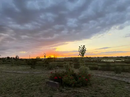 Alquiler temporario de caba&ntilde;a en San rafael