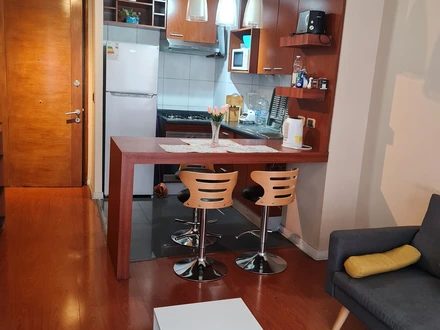 Arriendo temporario de apartamento em Santiago