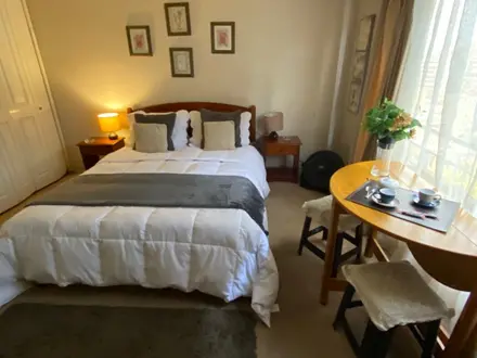 Arriendo temporario de apartamento em Providencia