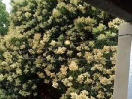 Alquiler temporario de departamento en San bernardo