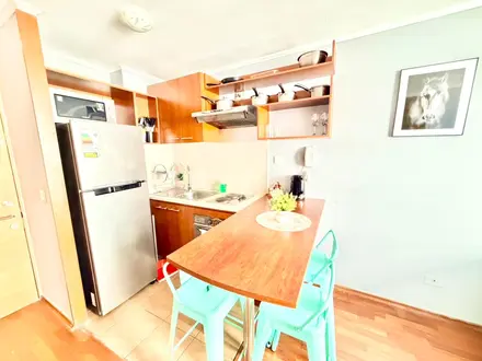Arriendo temporario de departamento en Santiago centro