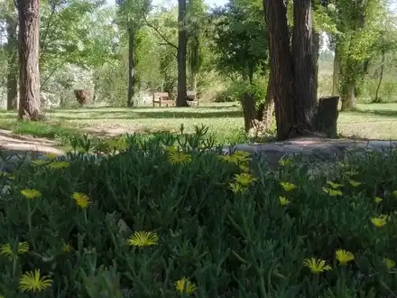 Alquiler temporario de cabana em 25 de mayo