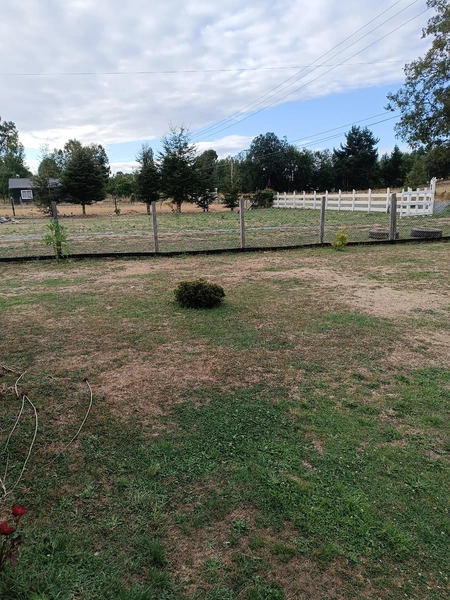 Arriendo temporario de cabaña en Lago ranco