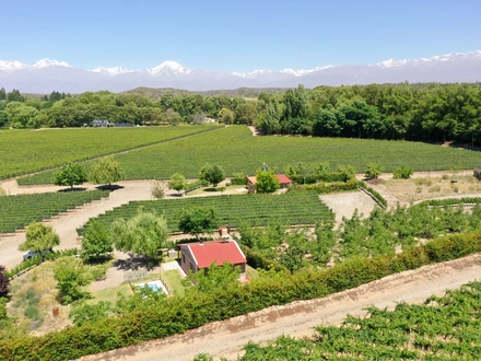 Alquiler temporario de casa en San jos&eacute; tupungato