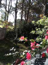 Alquiler temporario de caba&ntilde;a en El marquesado ( mar del plata sur)