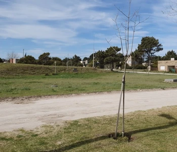 Alquiler temporario de apartamento em Claromeco