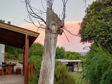 Alquiler temporario de departamento en Santa m&oacute;nica
