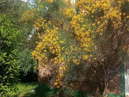 Alquiler temporario de casa em Sierra de la ventana