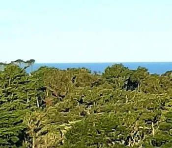 Alquiler temporario de departamento en Pinamar