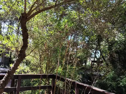 Alquiler temporario de casa em Mar de las pampas