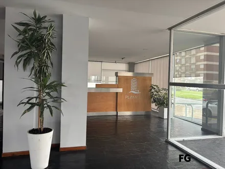 Alquiler temporario de apartamento em Miramar