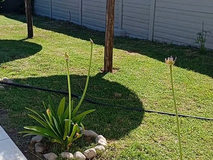 Alquiler temporario de casa em Necochea