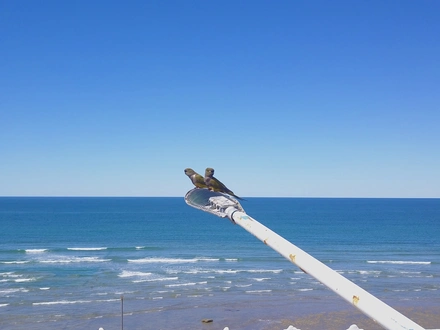 Alquiler temporario de apartamento em Las grutas