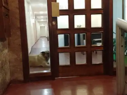 Alquiler temporario de apartamento em San bernardo