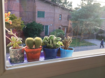 Alquiler temporario de apartamento em Pinamar