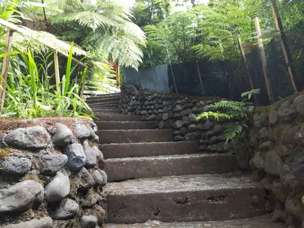 Arriendo temporario de caba&ntilde;a en Licanray