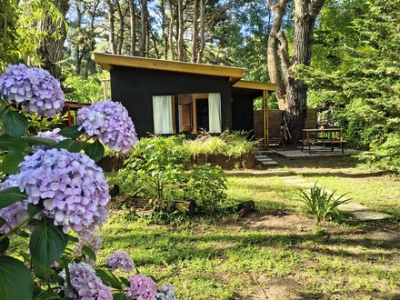 Alquiler temporario de casa en Costa del este