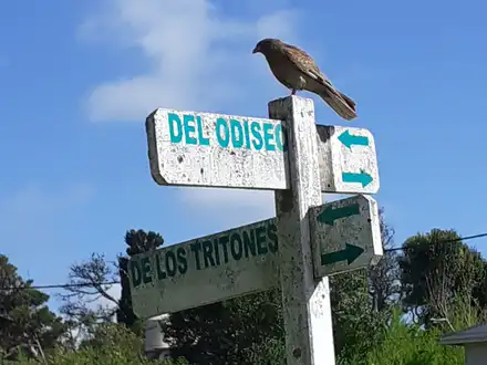 Alquiler temporario de apartamento em Pinamar