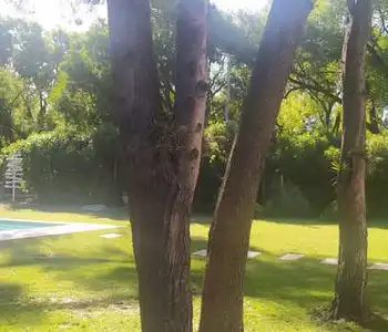 Alquiler temporario de casa em Necochea