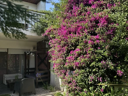 Alquiler temporario de casa en Quequen