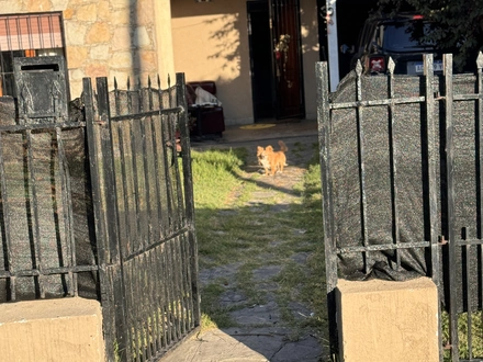 Alquiler temporario de casa en Necochea