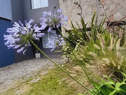 Alquiler temporario de casa em Necochea