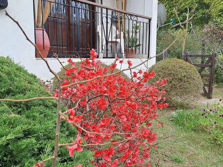 Alquiler temporario de departamento en Pinamar