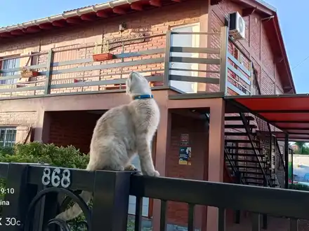 Alquiler temporario de caba&ntilde;a en Merlo