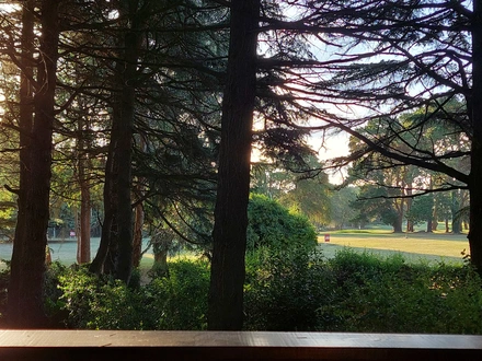 Alquiler temporario de caba&ntilde;a en Mar del plata